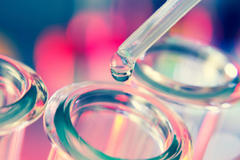 Supreme Court Justices Unanimous on Denying Patents for Human Genes
